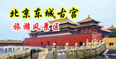 操嫩b中国北京-东城古宫旅游风景区